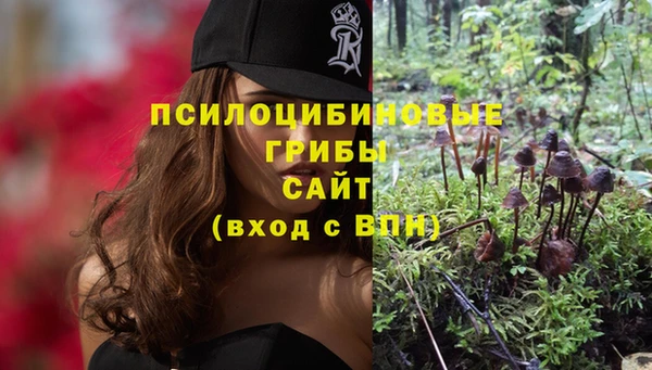 мяу мяу мука Шали
