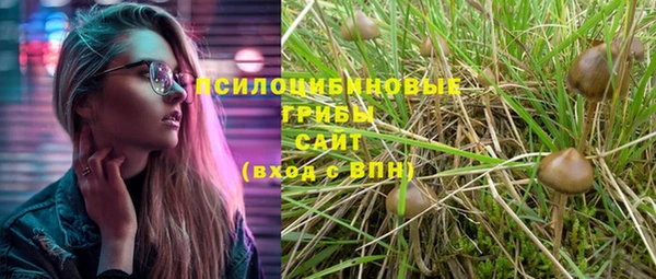 марки lsd Шадринск