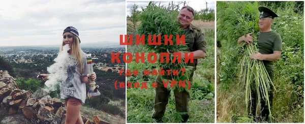 стафф Чегем