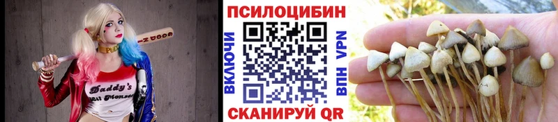 Галлюциногенные грибы Psilocybine cubensis  Купить закладки  Сибай 